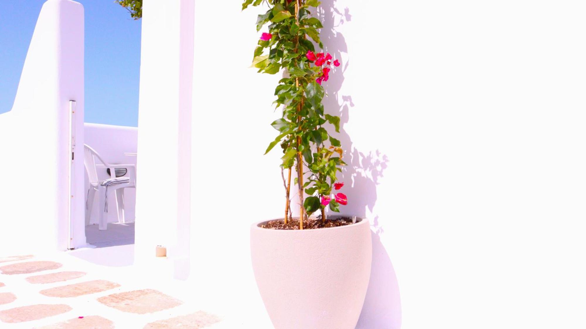 Lemon Tree Maisonette - Naoussa Paros Exteriér fotografie