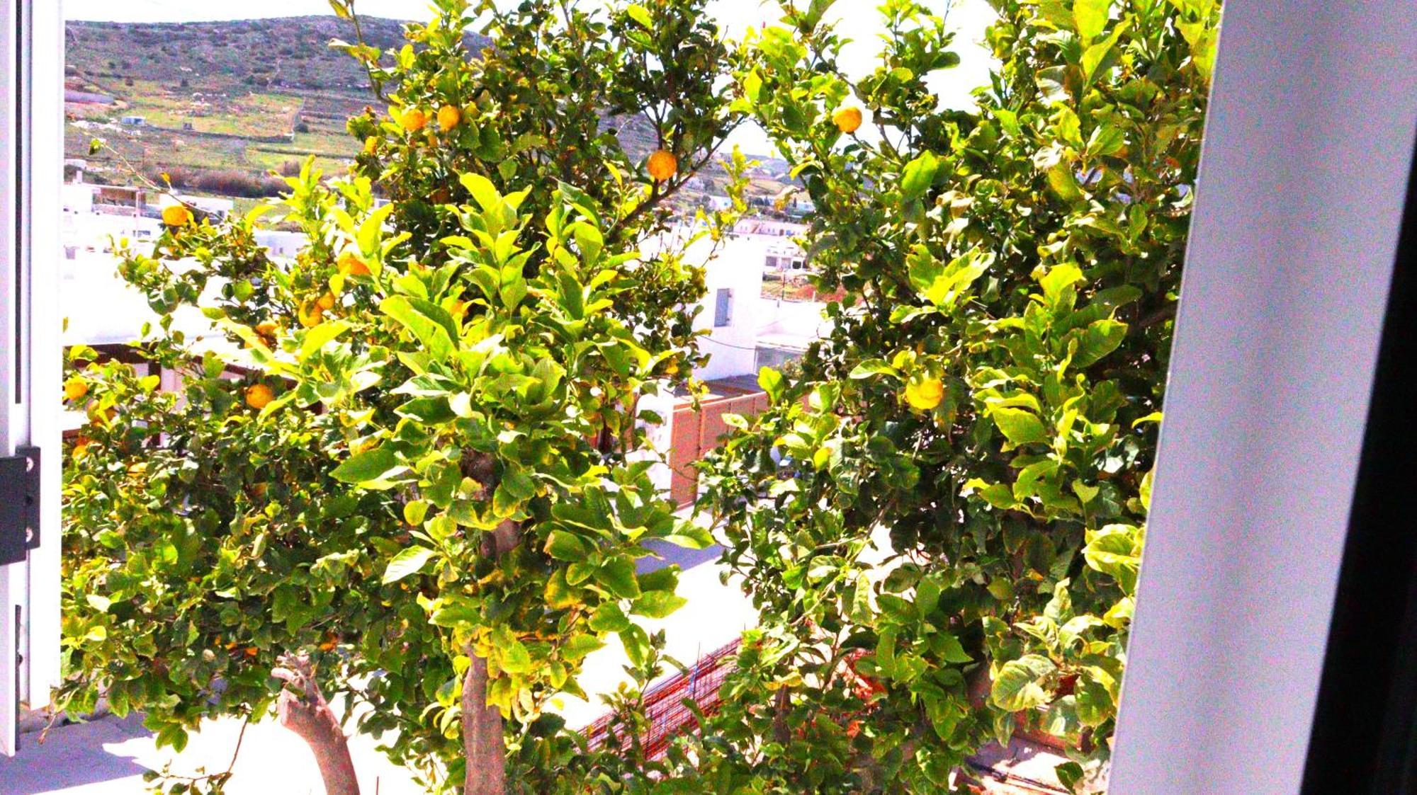 Lemon Tree Maisonette - Naoussa Paros Exteriér fotografie
